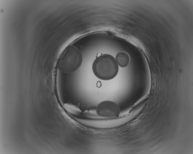 X0000086301151200704091015