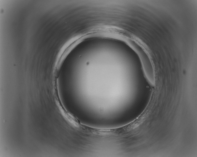 X0000086301152200704091015