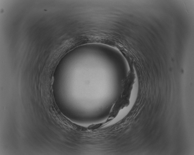 X0000086301153200704091014