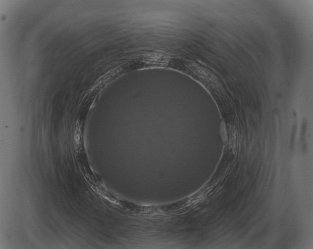 X0000086301154200704091014