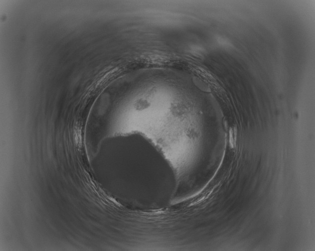 X0000086301155200704091014