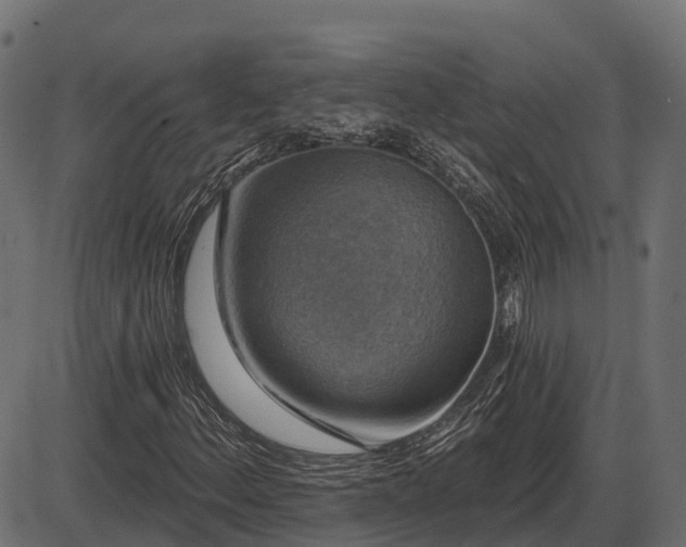 X0000086301156200704091014