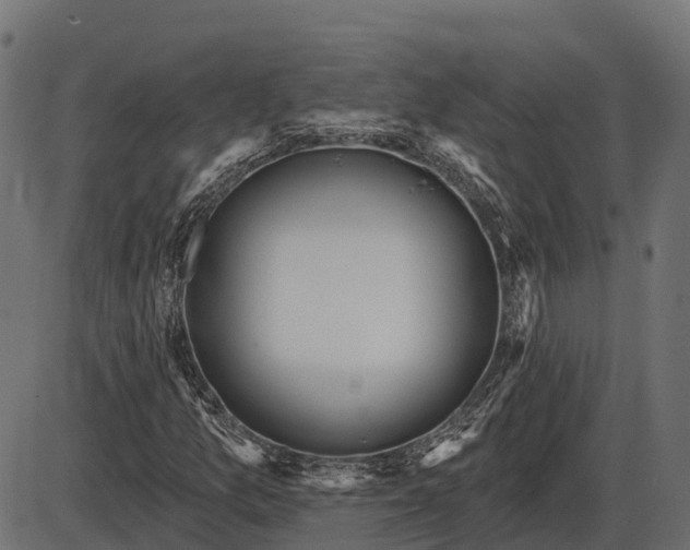 X0000086301157200704091014