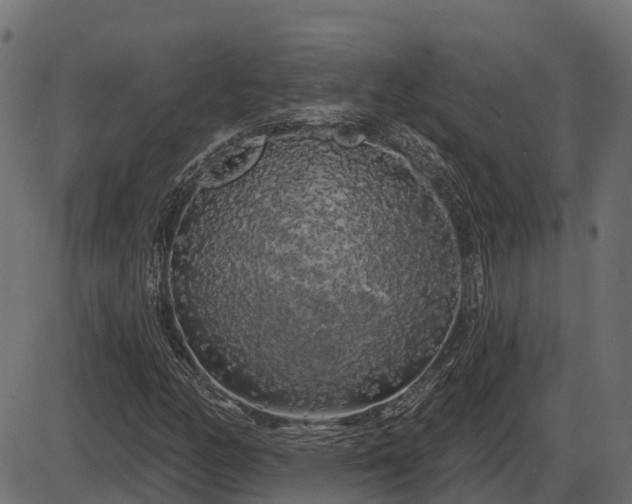 X0000086301158200704091014