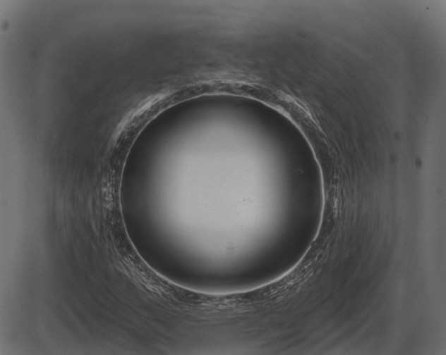 X0000086301159200704091014