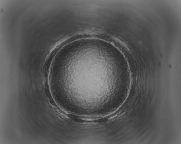 X0000086301160200704091014