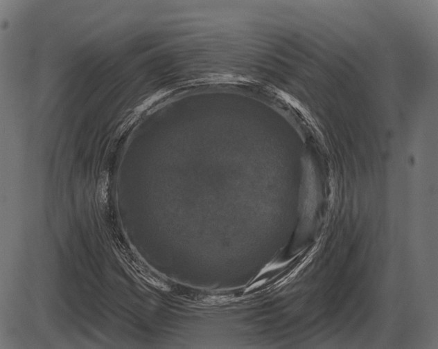 X0000086301161200704091014