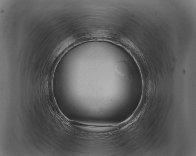 X0000086301162200704091014