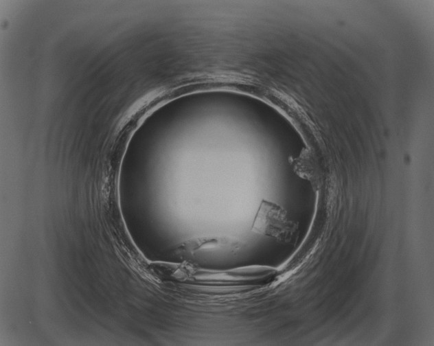 X0000086301163200704091014