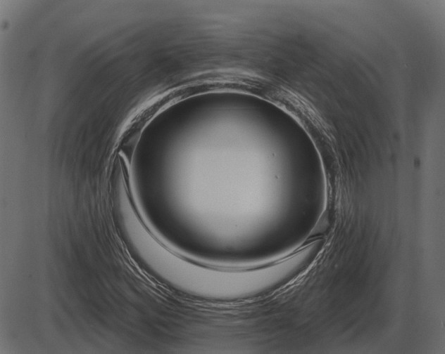 X0000086301164200704091014