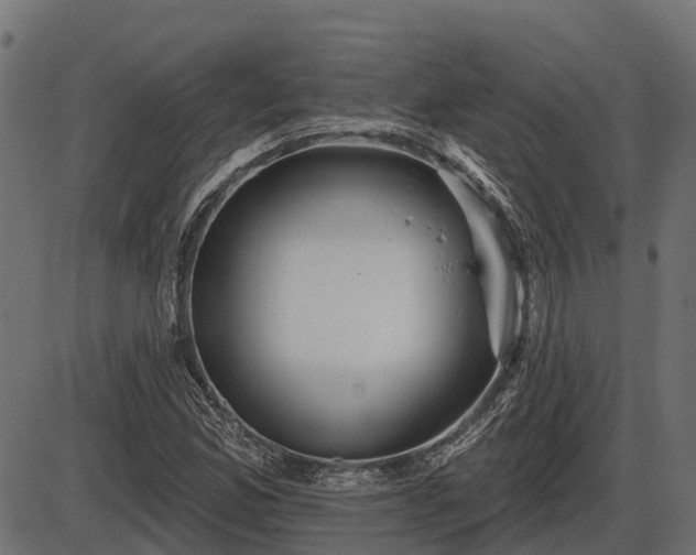 X0000086301165200704091014