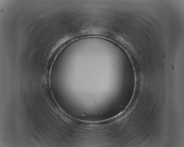 X0000086301166200704091014