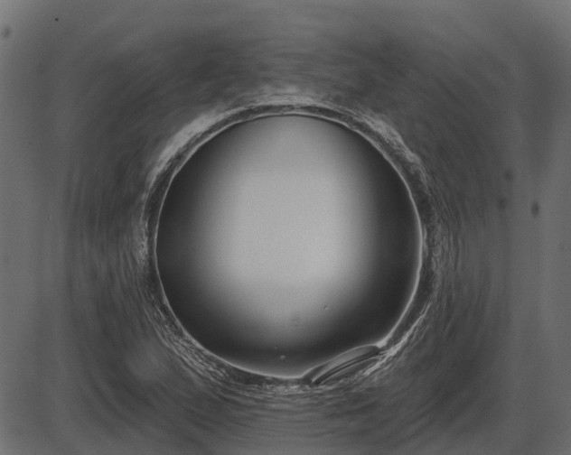 X0000086301167200704091014