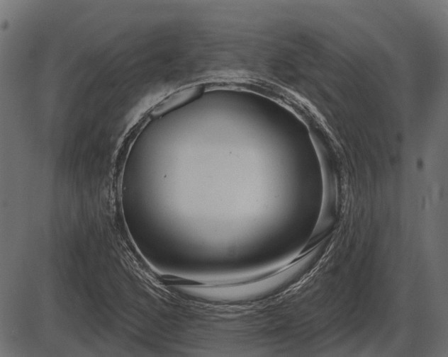 X0000086301168200704091014