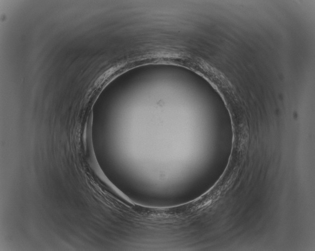 X0000086301169200704091014