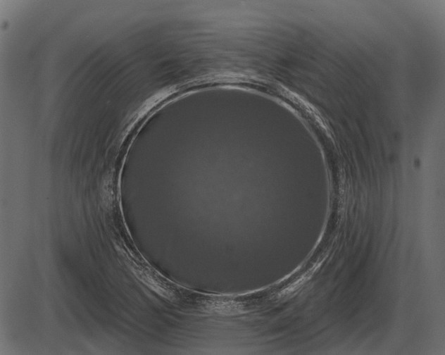 X0000086301170200704091014