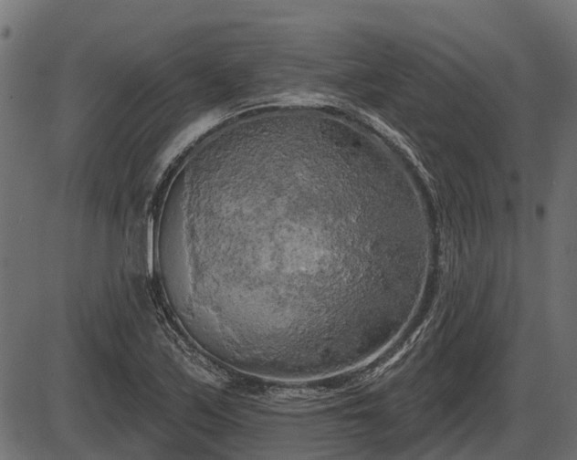 X0000086301171200704091014