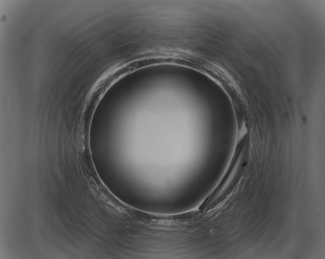 X0000086301172200704091013