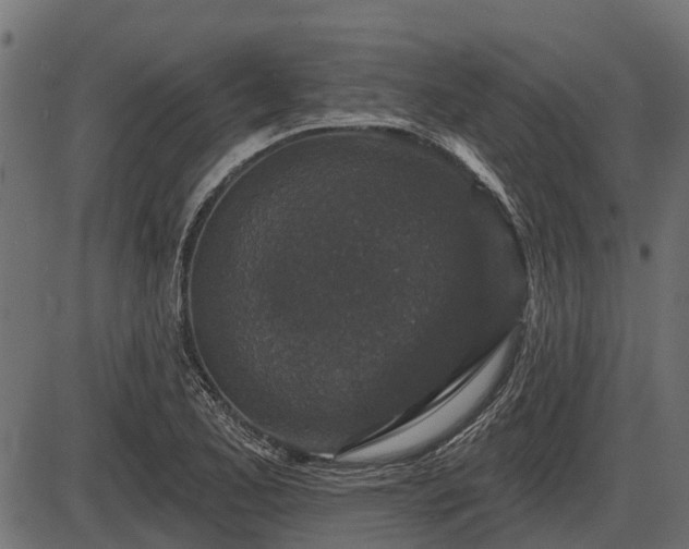 X0000086301173200704091013