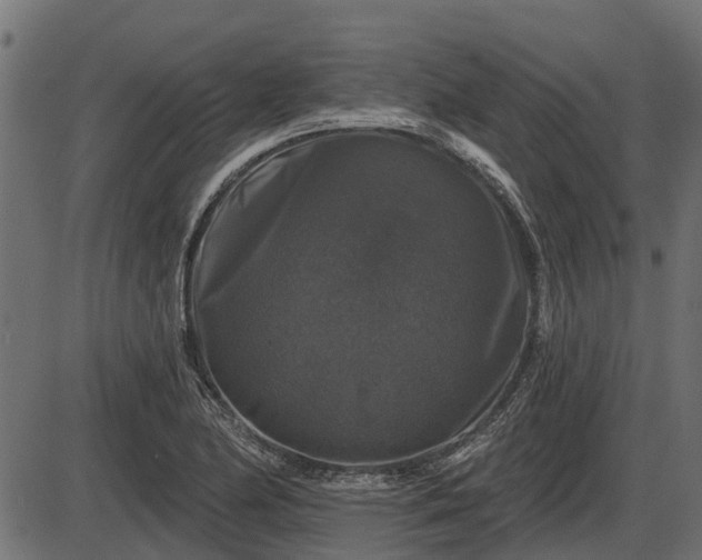 X0000086301174200704091013