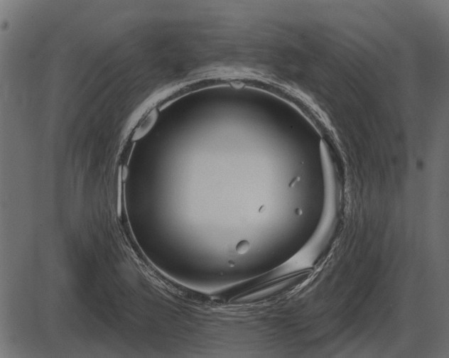 X0000086301175200704091013