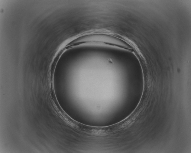 X0000086301176200704091013