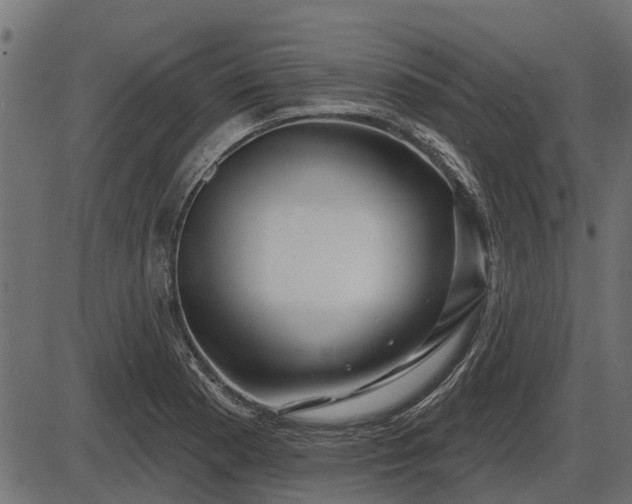 X0000086301177200704091013