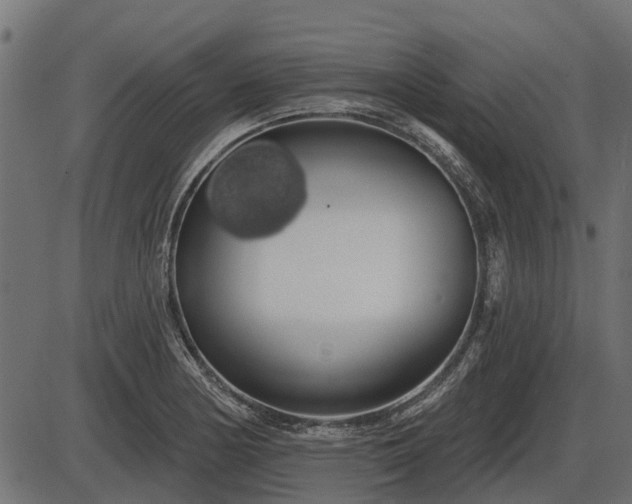 X0000086301178200704091013