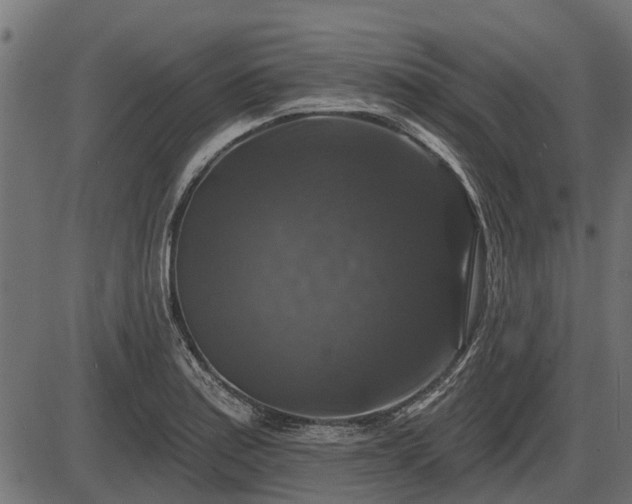 X0000086301179200704091013