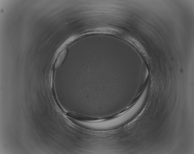 X0000086301180200704091013