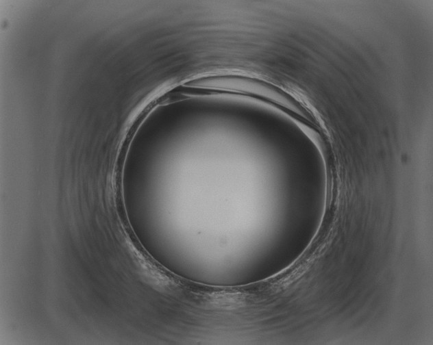 X0000086301181200704091013