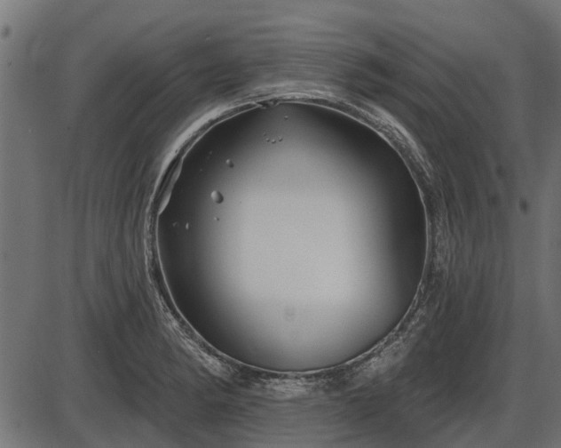 X0000086301182200704091013