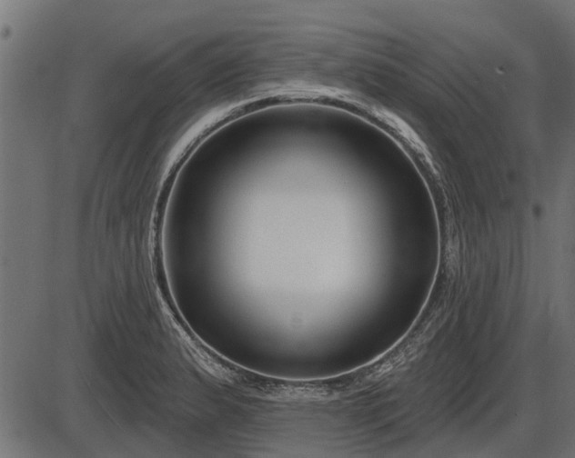 X0000086301183200704091013