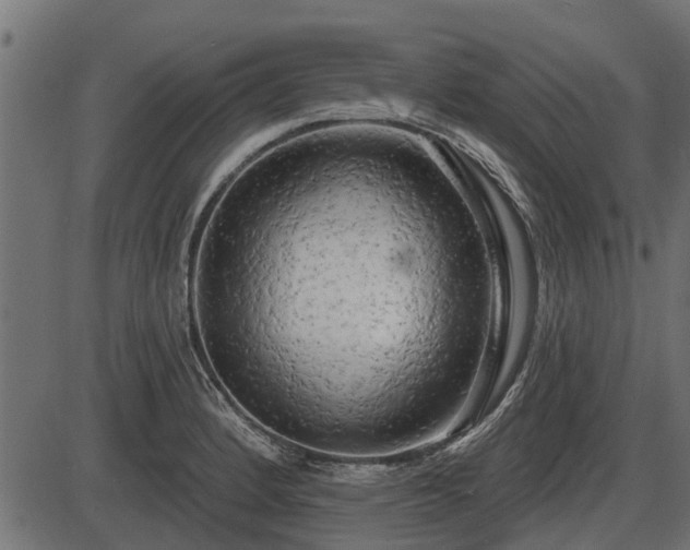 X0000086301184200704091013