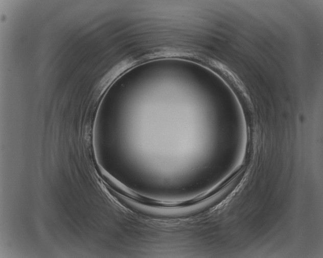 X0000086301185200704091013