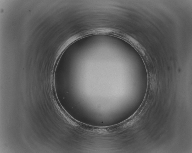 X0000086301186200704091013