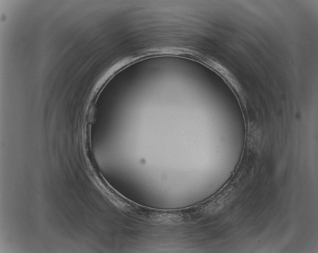 X0000086301187200704091013