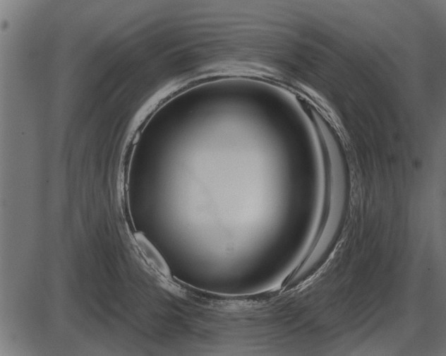 X0000086301188200704091013