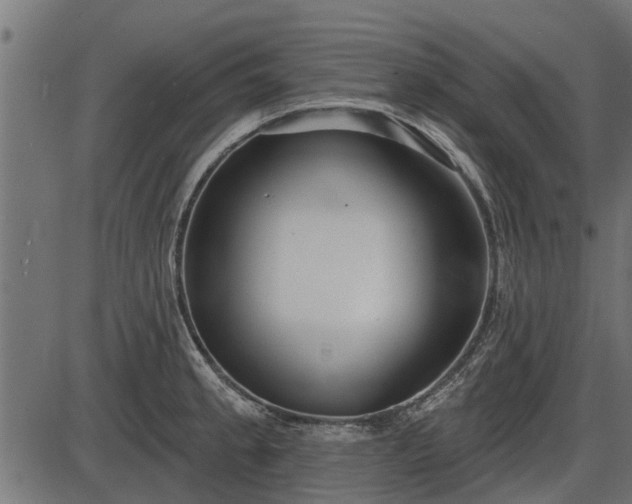 X0000086301189200704091013