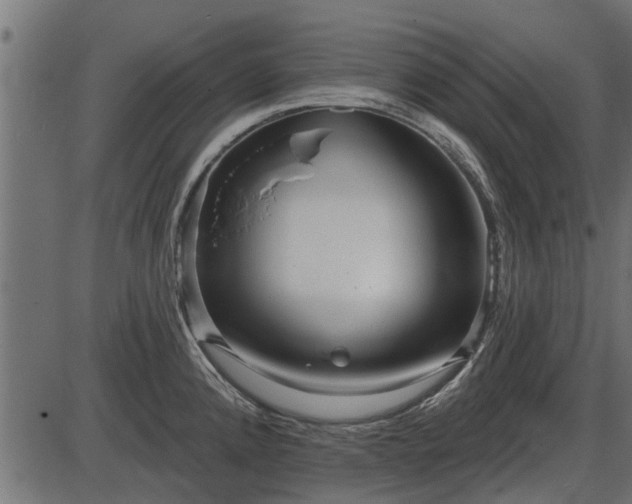 X0000086301192200704091013