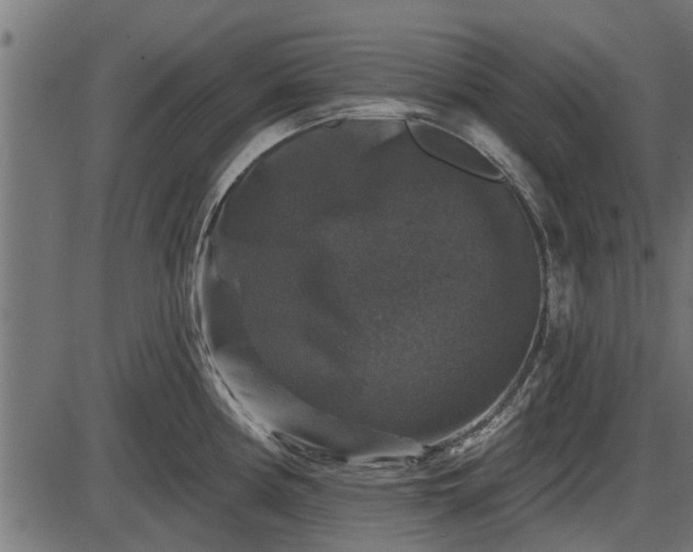 X0000086301194200704091013