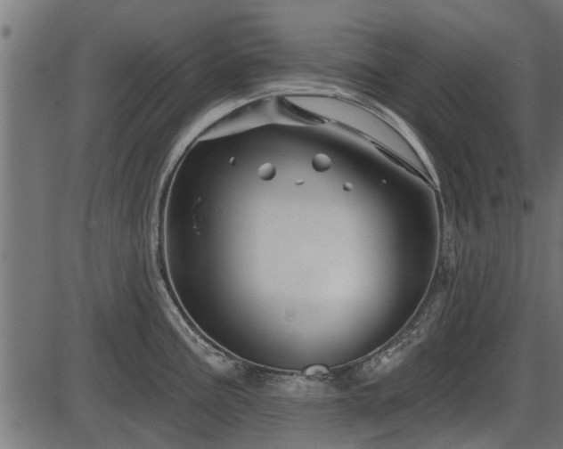 X0000086301195200704091013