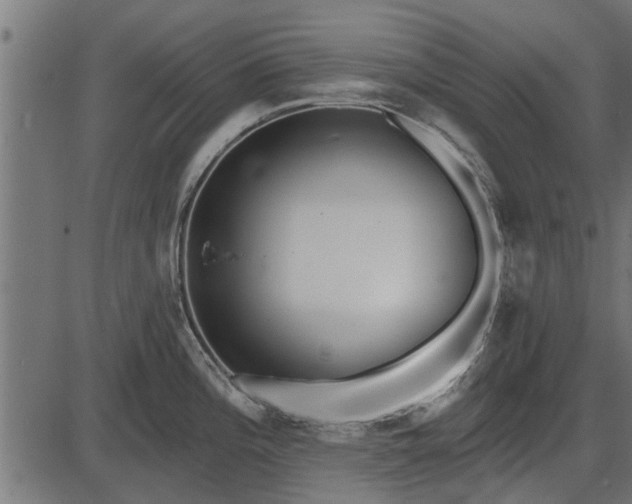 X0000086301196200704091013