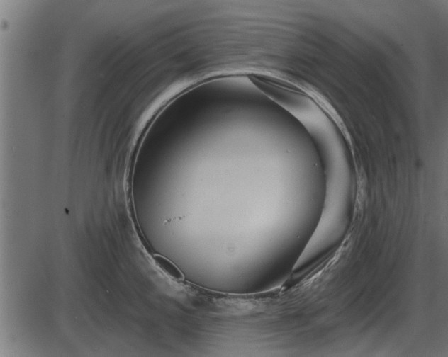 X0000086301197200704091013