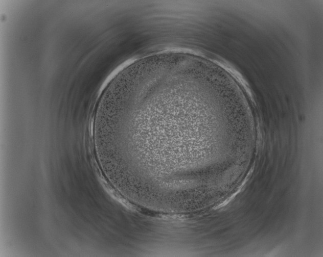 X0000086301198200704091013