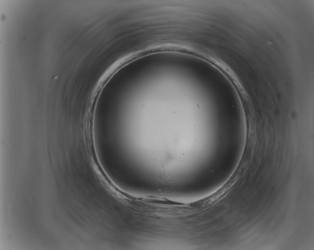 X0000086301199200704091013