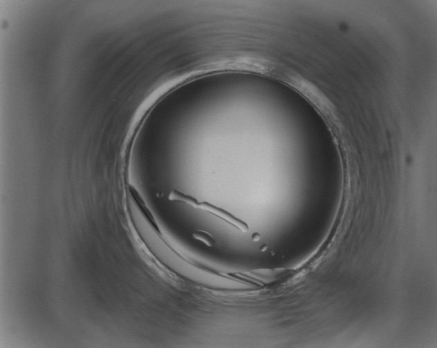 X0000086301200200704091013