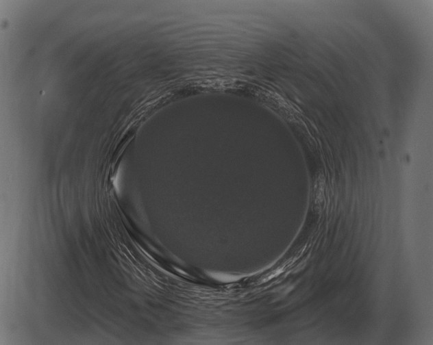 X0000086301202200704091012