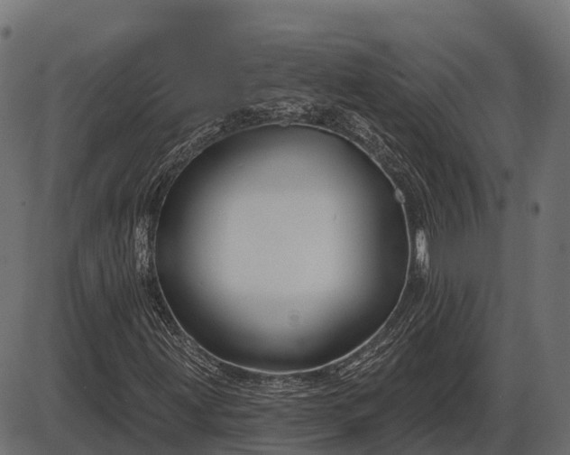 X0000086301203200704091012