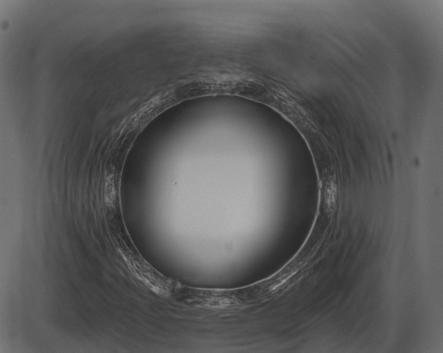 X0000086301204200704091012